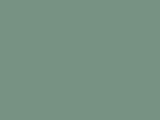 Robison-Anton Polyester - 9107 Kiwi Green
